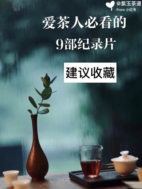 解读No Zoomer：深度解析这部备受关注的纪录片