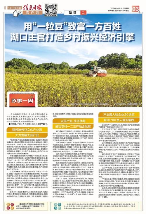 解读乡村振兴政策：如何找到你的致富之路？