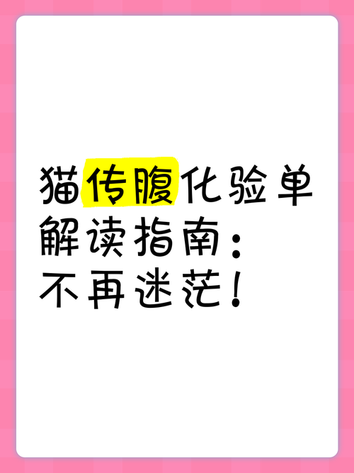 解读全国高校联赛：规则解读及参赛指南