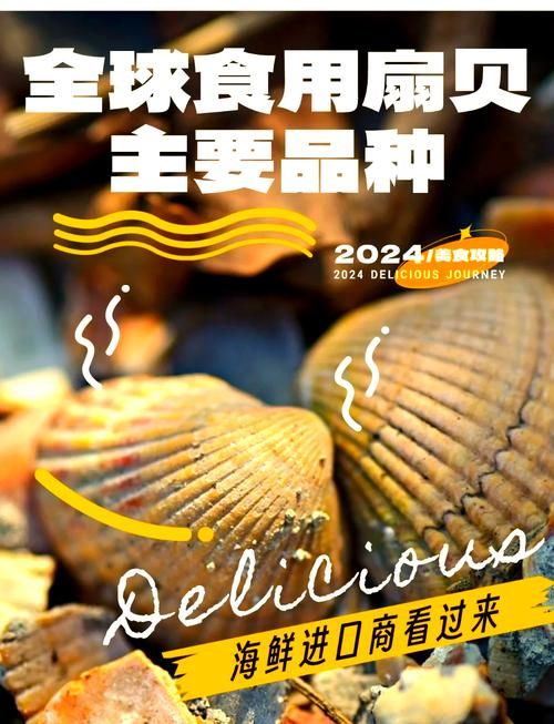 解读扇贝：扇贝的含义、文化象征及经济价值
