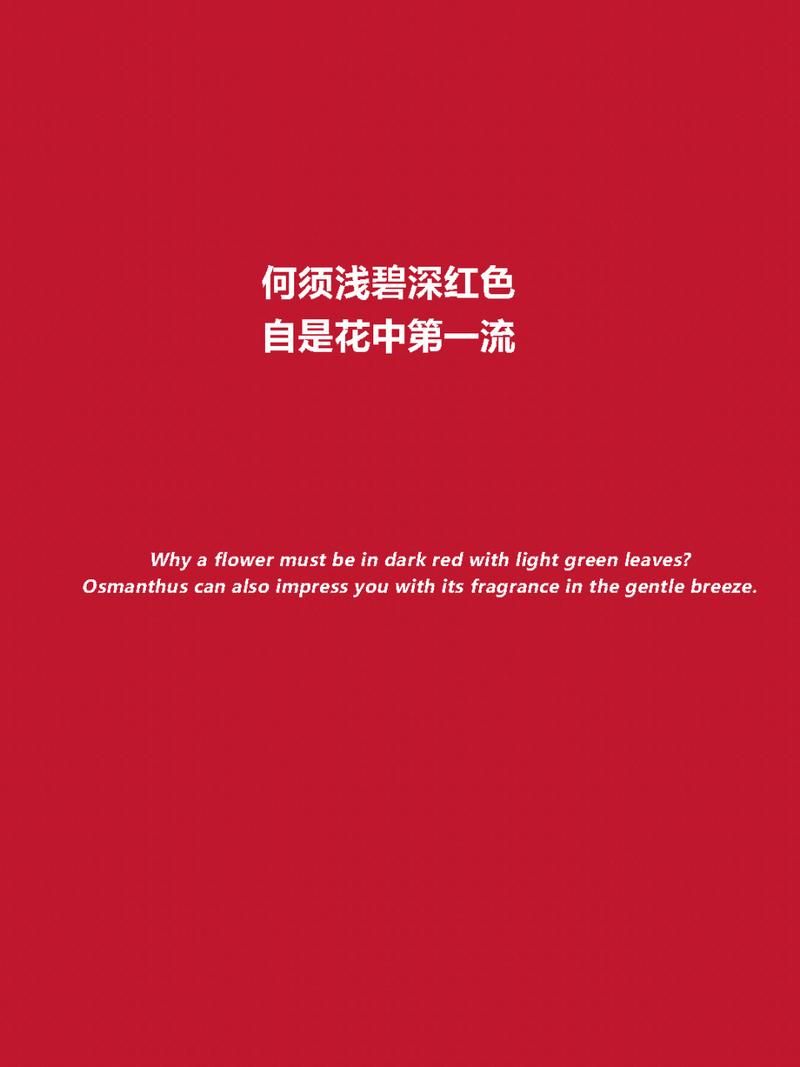 解读李清照名句：何须浅碧深红色，自是花中第一流