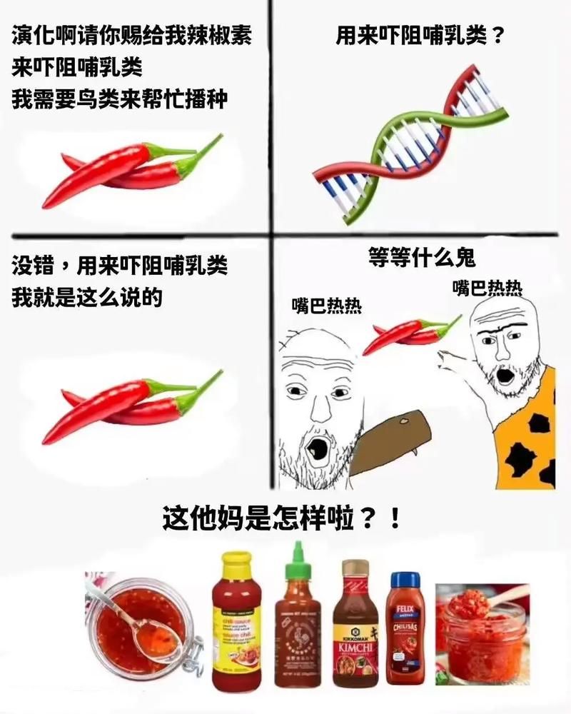 解读网络热梗“真实”，这到底是个什么梗？