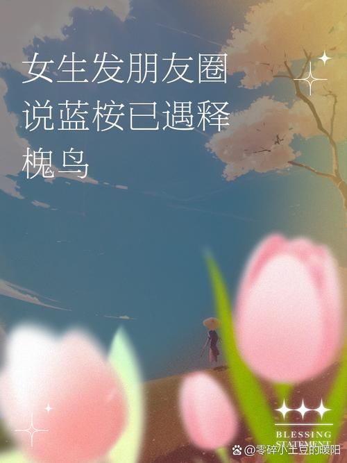 解读网络热词：蓝桉已遇释槐鸟的含义及出处
