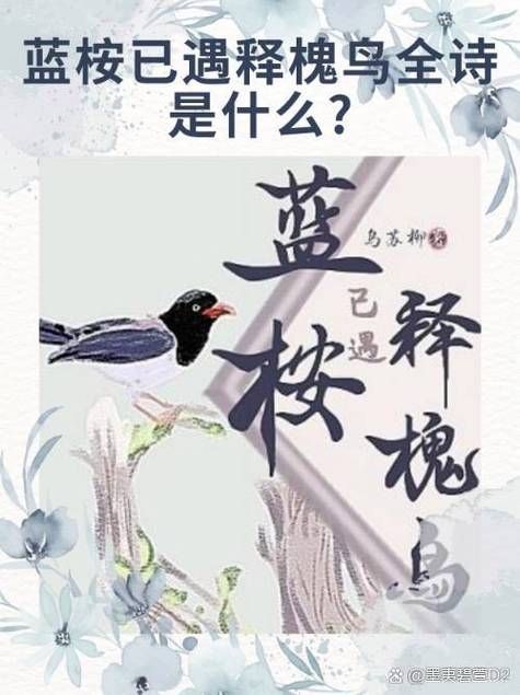 解读网络热词：蓝桉已遇释槐鸟的含义及出处