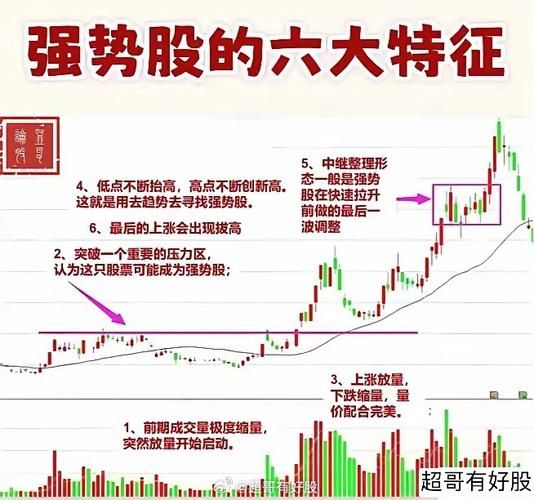 解读赢在龙头普及版：股市分析不再难