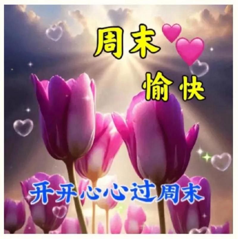 解锁一周好心情！分享超实用星期一到星期天表情！