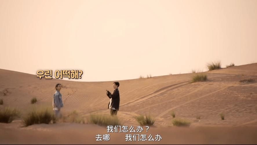 解锁大兄弟另一个故事全部成就：完整攻略及技巧分享