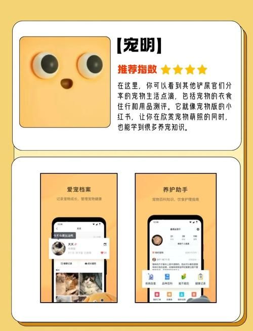 解锁宠物APP隐藏功能：让养宠更简单，更省心