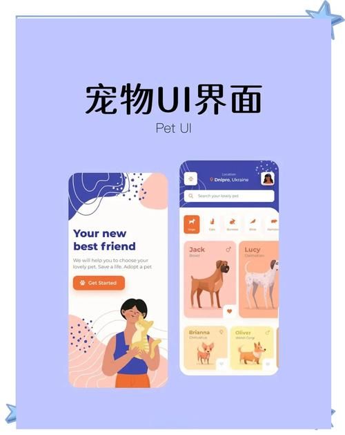 解锁宠物APP隐藏功能：让养宠更简单，更省心