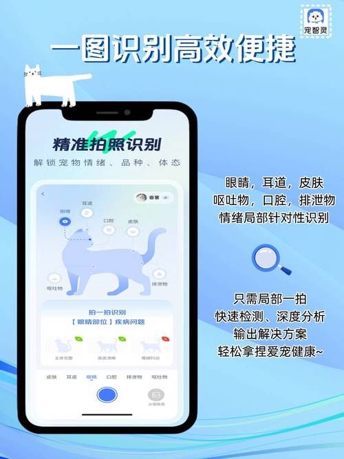 解锁宠物APP隐藏功能：让养宠更简单，更省心