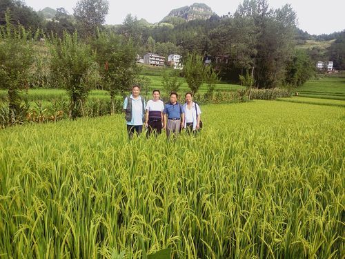 解锁家族历史：MyHeritage帮你寻根问祖