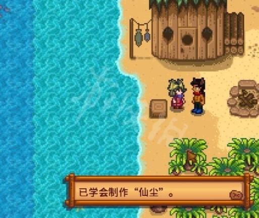 解锁星露谷海盗妻子任务奖励：简单易懂的步骤说明
