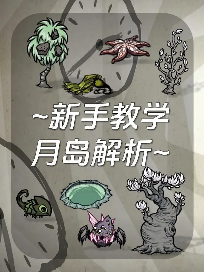 解锁饥荒月岩秘密：掌握月岩代码的实用指南