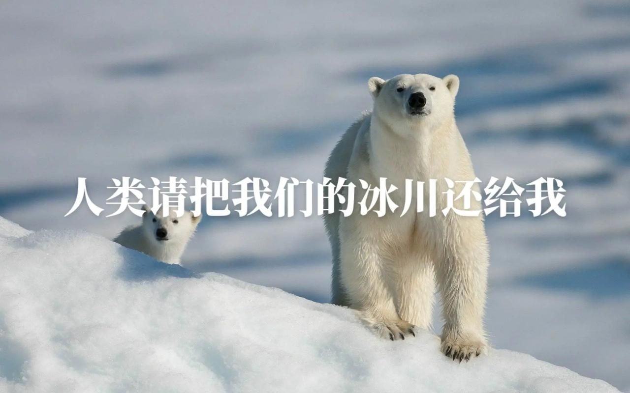 警惕动物性侵犯：保护自己及他人免受伤害