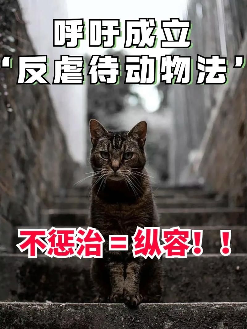 警惕动物性侵犯：保护自己及他人免受伤害