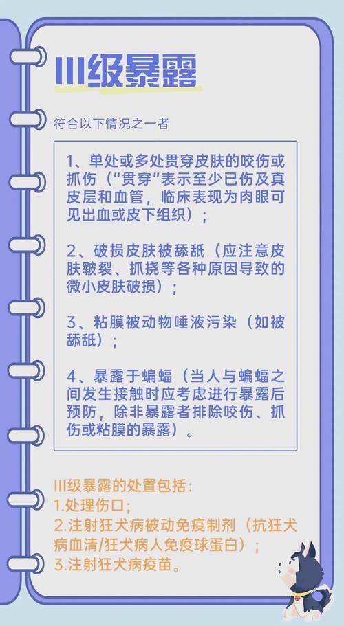 警惕动物性侵犯：保护自己及他人免受伤害