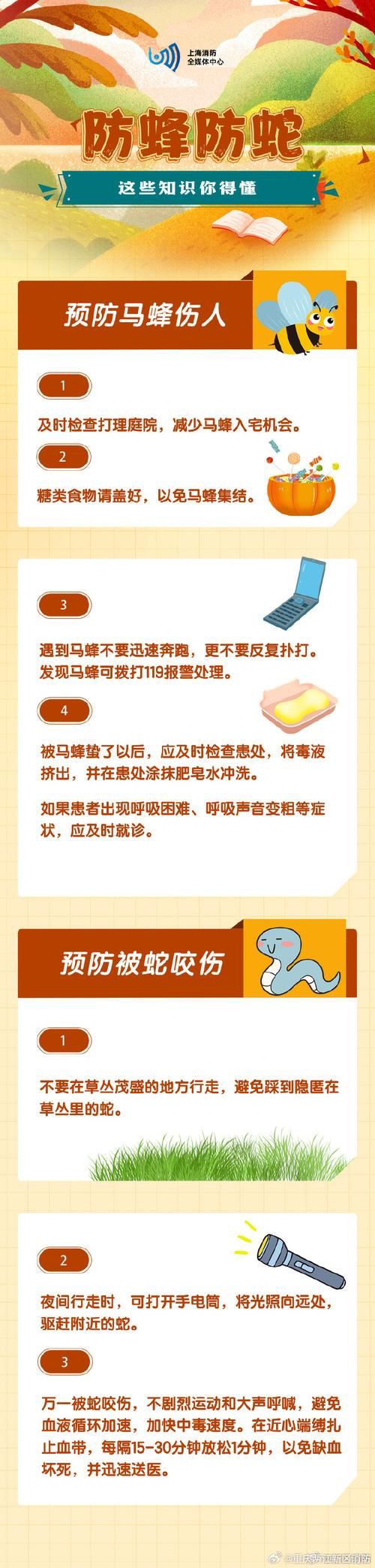 警惕动物性侵犯：保护自己及他人免受伤害