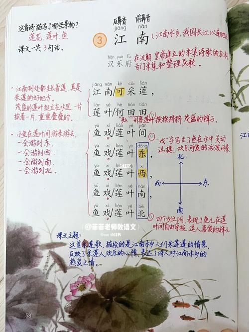 认识这个字：草字头加鱼加立刀，你认识它吗？