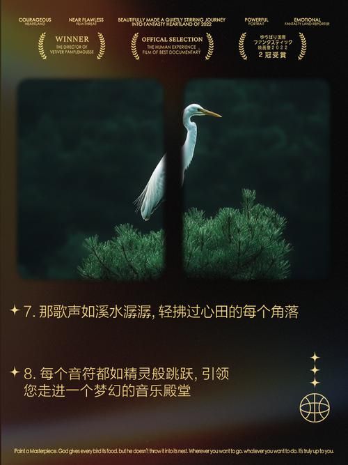 让人沉醉的动听歌声：歌声里的故事与情感