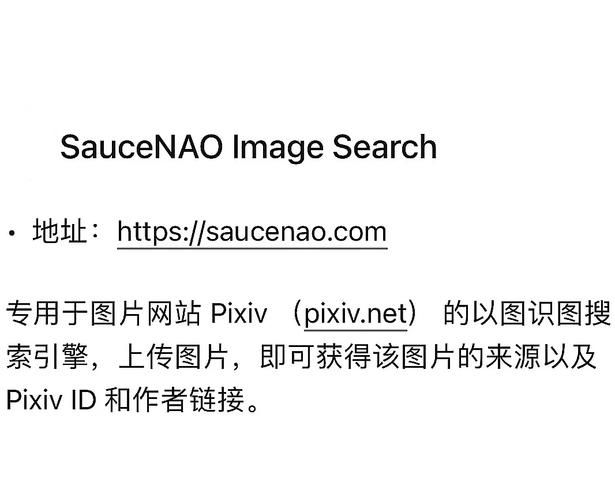 识图在线识图神器推荐，快速精准找到你想要的图片！