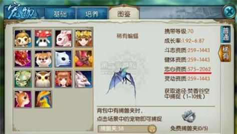 诛仙宠物图鉴大全：收集所有宠物的终极目标