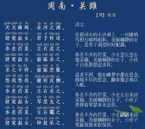 详解“佻”字的读音、释义及在词语中的用法