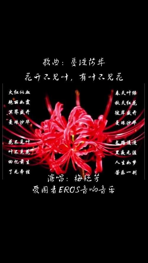 详解彼岸花的英文表达，红蜘蛛百合等说法