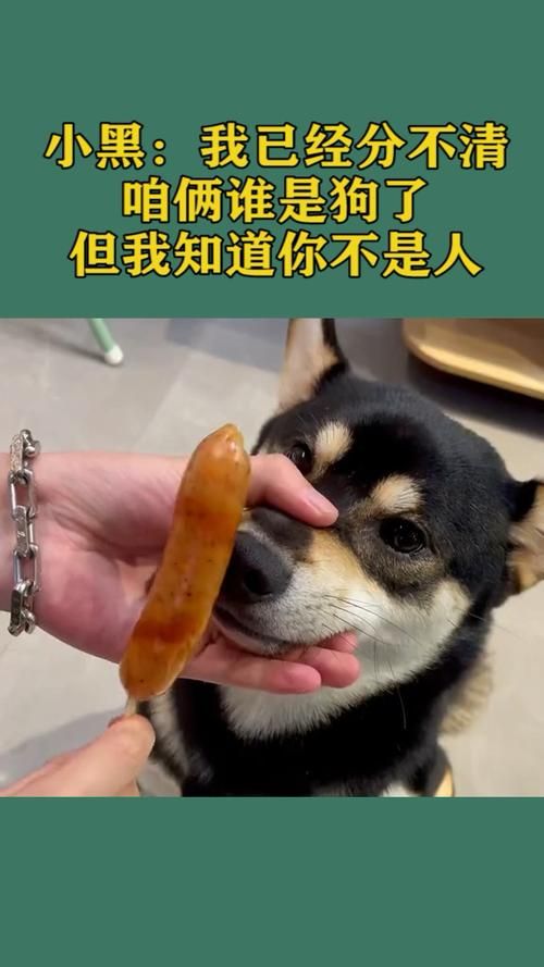 谁输了去谁家受罚抽阴清清：这惩罚你敢接受吗？