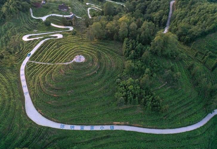 贵州望谟县特产：到底种植什么闻名全国？
