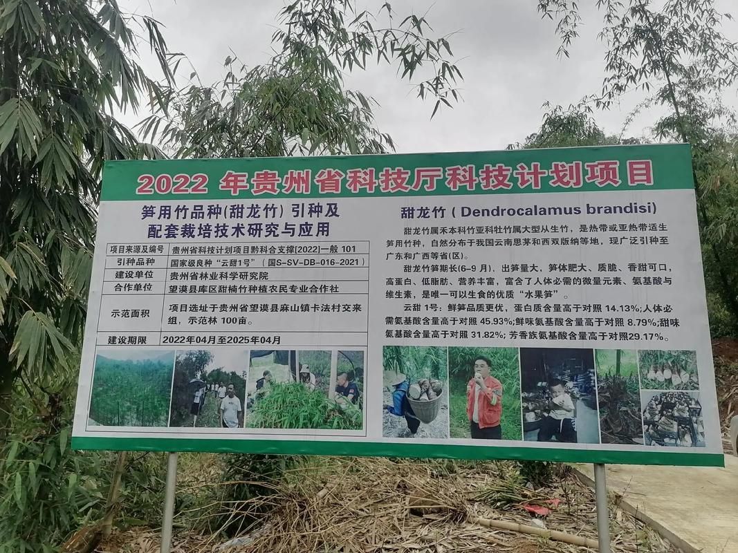 贵州望谟县特产：到底种植什么闻名全国？