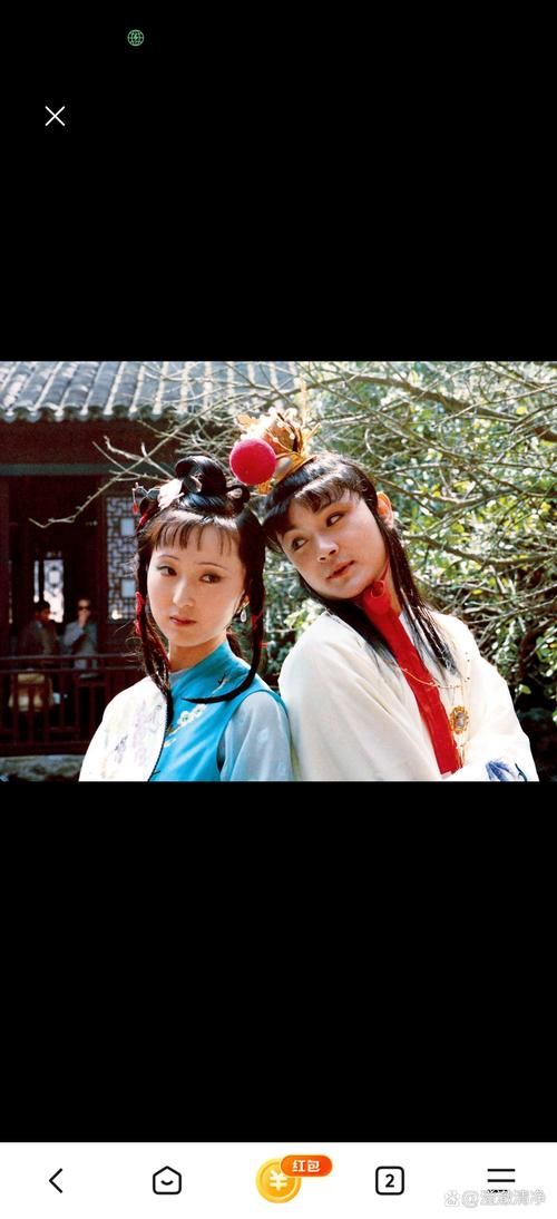 贾宝玉和林黛玉：是爱情还是亲情？