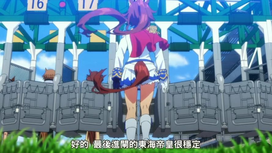 赛马娘原型马去世：缅怀逝去的英雄