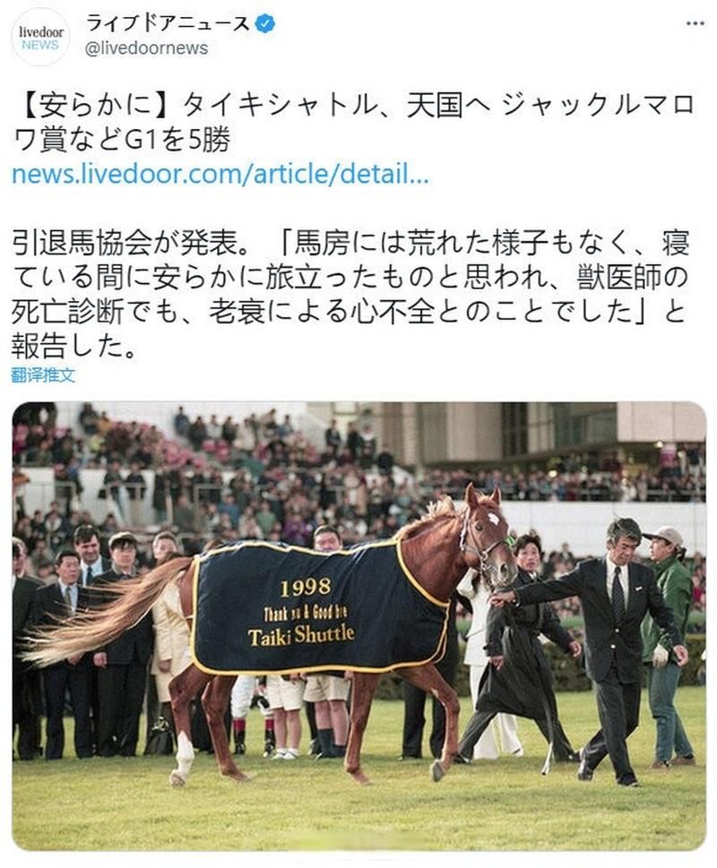 赛马娘原型马去世：缅怀逝去的英雄