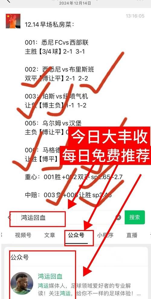 赛马派彩与结果公布时间：掌握赛马信息，不错过任何一场比赛