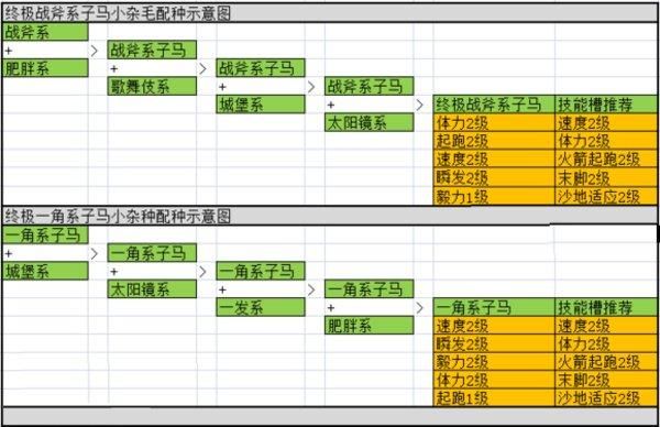 赛马牧场物语攻略：新手入门必看技巧及经验分享