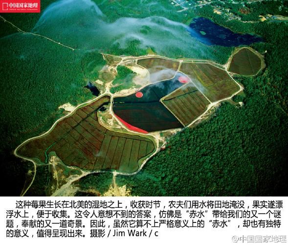赤水洲剧情任务全流程：轻松完成拿奖励