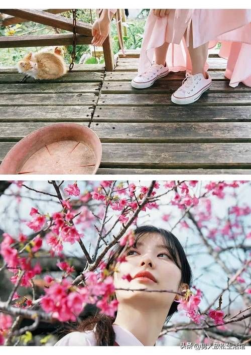 走近武藤十梦：她的成长经历和精彩人生