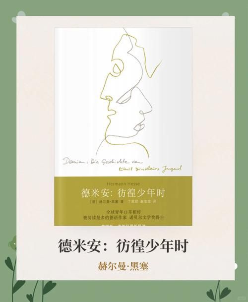 走进艾德里安的世界：探秘他的精彩人生