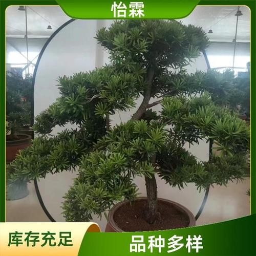 超值CF小号批发，绿色安全，数量充足