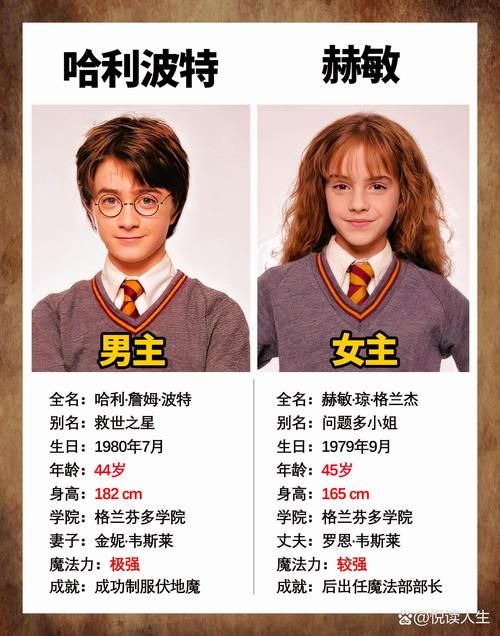 超强阿尼玛格斯能力：哈利波特魔法深度解析