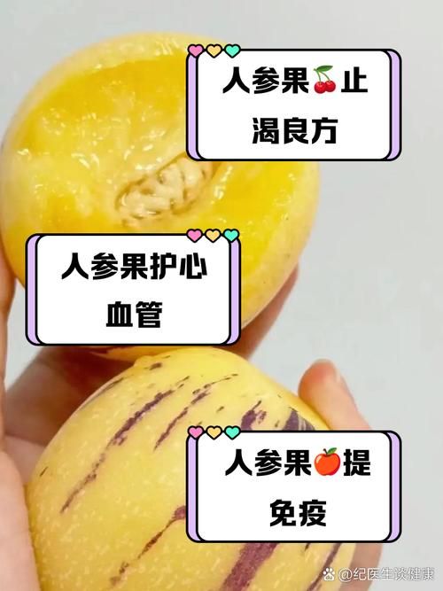 超级人参果作用及获得途径，新手玩家快速上手指南