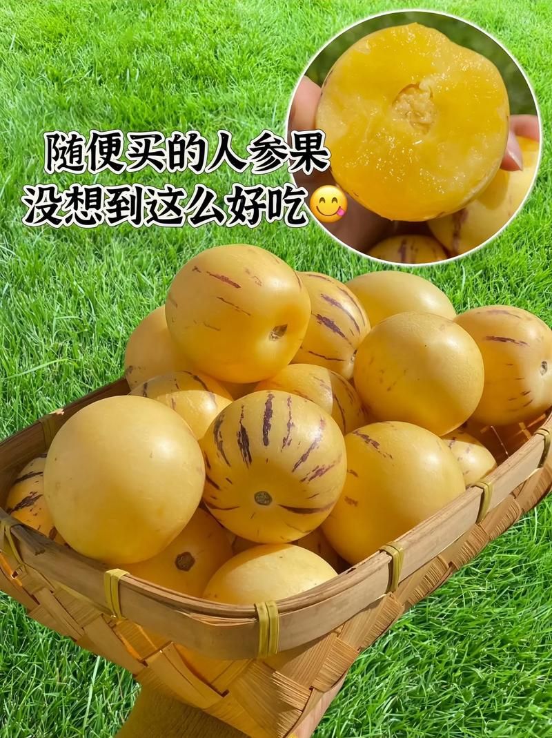 超级人参果作用及获得途径，新手玩家快速上手指南