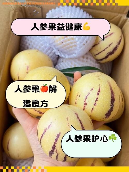 超级人参果作用及获得途径，新手玩家快速上手指南