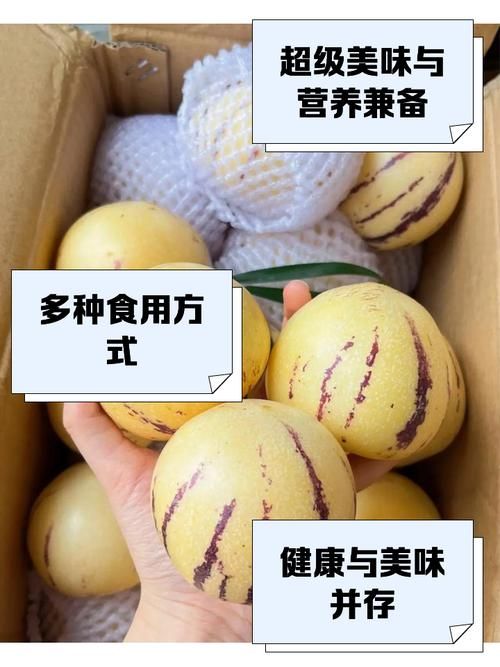 超级人参果作用及获得途径，新手玩家快速上手指南