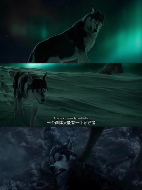 超级特工狗：狗狗特工队热血来袭！