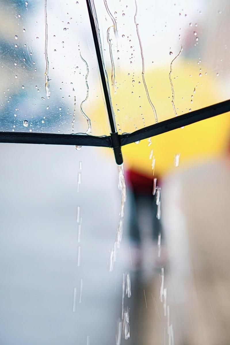 超萌雨后小故事图片：适合做朋友圈背景图