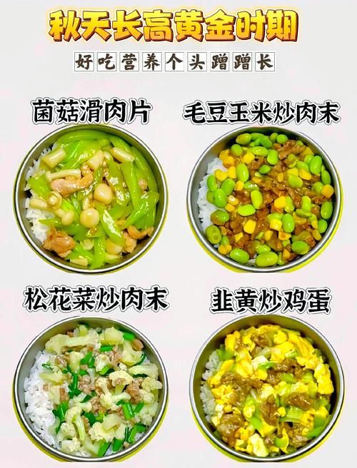 超详细烹饪食谱：简单易学，新手也能做出美味佳肴