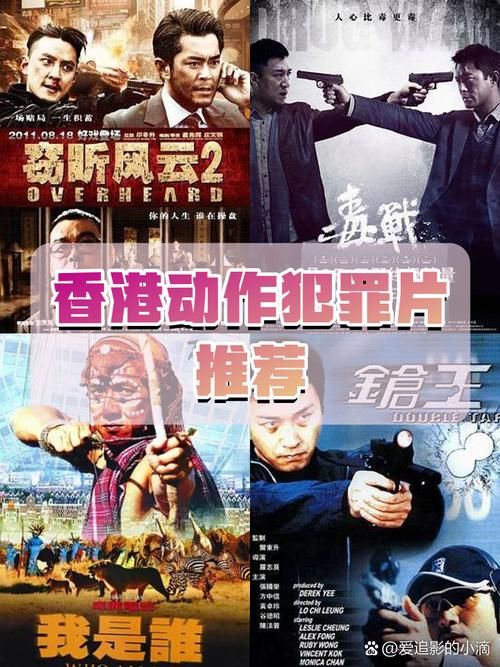 踏血寻梅豆瓣：影帝影后加持的港式犯罪电影