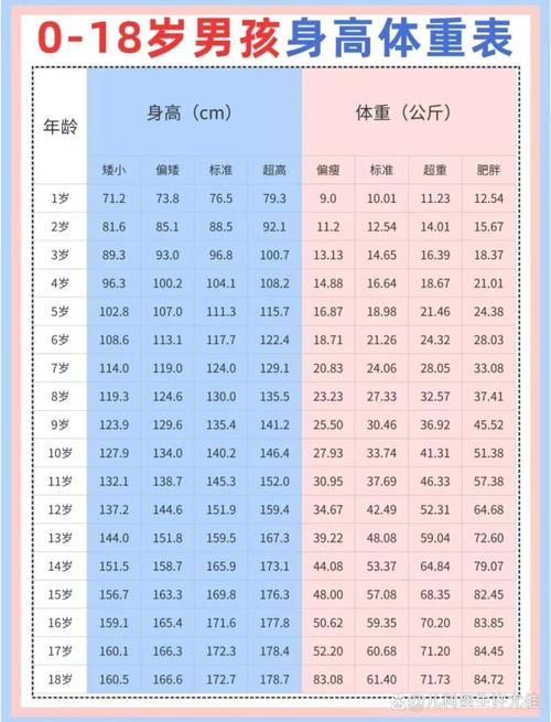 身高对比网站大全：快速了解你的身高排名和数据！