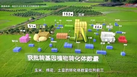 转基因作物未来发展趋势如何？展望转基因技术的应用前景